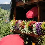 Apartman 1 Panoramablick - Neu Incl 3-weltencard Mit 140 Kostenlosen Attraktionen Bernau im Schwarzwald
