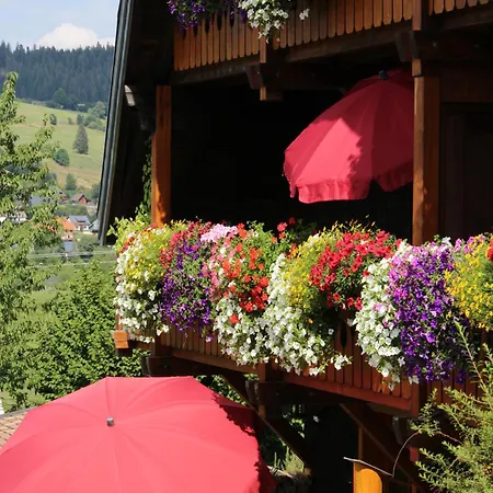 Appartement 1 Panoramablick - Neu Incl 3-weltencard Mit 140 Kostenlosen Attraktionen Bernau im Schwarzwald