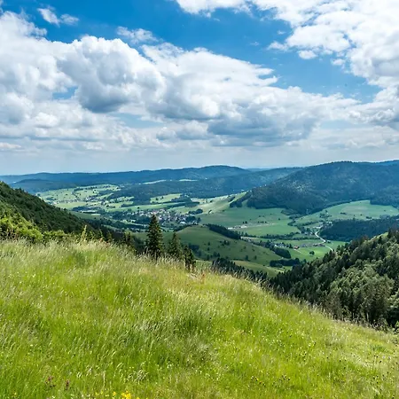1 Panoramablick - Neu Incl 3-weltencard Mit 140 Kostenlosen Attraktionen Apartman Bernau im Schwarzwald