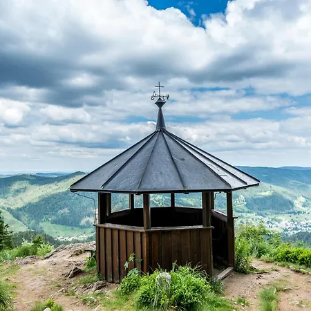 1 Panoramablick - Neu Incl 3-weltencard Mit 140 Kostenlosen Attraktionen * Bernau im Schwarzwald